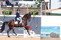 Filename=DSC_5859.JPG
Filesize=356KiB
Dimensions=1229x814
Date added=Jul 18, 2023 DSC_5859.JPG