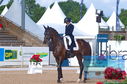 Filename=DSC_5864.JPG
Filesize=366KiB
Dimensions=1229x814
Date added=Jul 18, 2023 DSC_5864.JPG