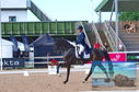 Filename=DSC_5897.JPG
Filesize=445KiB
Dimensions=1229x814
Date added=Jul 18, 2023 DSC_5897.JPG