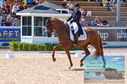 Filename=DSC_6334.JPG
Filesize=504KiB
Dimensions=1229x814
Date added=Jul 18, 2023 DSC_6334.JPG