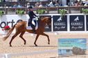 Filename=DSC_6343.JPG
Filesize=467KiB
Dimensions=1229x814
Date added=Jul 18, 2023 DSC_6343.JPG