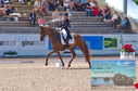 Filename=DSC_6347.JPG
Filesize=475KiB
Dimensions=1229x814
Date added=Jul 18, 2023 DSC_6347.JPG