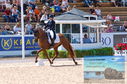Filename=DSC_6350.JPG
Filesize=518KiB
Dimensions=1229x814
Date added=Jul 18, 2023 DSC_6350.JPG