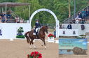 Filename=DSC_6759.JPG
Filesize=528KiB
Dimensions=1229x814
Date added=Jul 19, 2023 DSC_6759.JPG