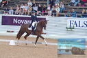 Filename=DSC_6774.JPG
Filesize=477KiB
Dimensions=1229x814
Date added=Jul 19, 2023 DSC_6774.JPG