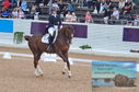 Filename=DSC_6776.JPG
Filesize=480KiB
Dimensions=1229x814
Date added=Jul 19, 2023 DSC_6776.JPG