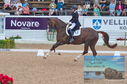 Filename=DSC_6787.JPG
Filesize=499KiB
Dimensions=1229x814
Date added=Jul 19, 2023 DSC_6787.JPG