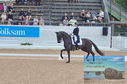 Filename=DSC_6794.JPG
Filesize=487KiB
Dimensions=1229x814
Date added=Jul 19, 2023 DSC_6794.JPG