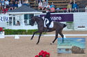 Filename=DSC_6811.JPG
Filesize=515KiB
Dimensions=1229x814
Date added=Jul 19, 2023 DSC_6811.JPG