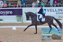 Filename=DSC_6820.JPG
Filesize=480KiB
Dimensions=1229x814
Date added=Jul 19, 2023 DSC_6820.JPG