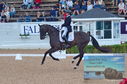 Filename=DSC_6824.JPG
Filesize=491KiB
Dimensions=1229x814
Date added=Jul 19, 2023 DSC_6824.JPG