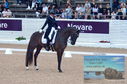 Filename=DSC_6826.JPG
Filesize=439KiB
Dimensions=1229x814
Date added=Jul 19, 2023 DSC_6826.JPG