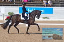 Filename=DSC_6989.JPG
Filesize=478KiB
Dimensions=1229x814
Date added=Jul 19, 2023 DSC_6989.JPG