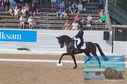 Filename=DSC_6991.JPG
Filesize=483KiB
Dimensions=1229x814
Date added=Jul 19, 2023 DSC_6991.JPG
