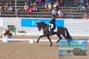 Filename=DSC_6992.JPG
Filesize=492KiB
Dimensions=1229x814
Date added=Jul 19, 2023 DSC_6992.JPG