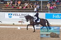 Filename=DSC_6994.JPG
Filesize=496KiB
Dimensions=1229x814
Date added=Jul 19, 2023 DSC_6994.JPG
