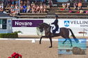 Filename=DSC_6996.JPG
Filesize=518KiB
Dimensions=1229x814
Date added=Jul 19, 2023 DSC_6996.JPG