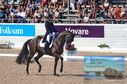 Filename=DSC_7009.JPG
Filesize=510KiB
Dimensions=1229x814
Date added=Jul 19, 2023 DSC_7009.JPG