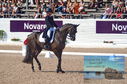 Filename=DSC_7011.JPG
Filesize=480KiB
Dimensions=1229x814
Date added=Jul 19, 2023 DSC_7011.JPG