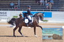 Filename=DSC_7206.JPG
Filesize=472KiB
Dimensions=1229x814
Date added=Jul 19, 2023 DSC_7206.JPG