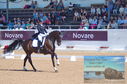 Filename=DSC_7208.JPG
Filesize=430KiB
Dimensions=1229x814
Date added=Jul 19, 2023 DSC_7208.JPG