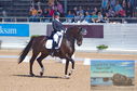 Filename=DSC_7213.JPG
Filesize=442KiB
Dimensions=1229x814
Date added=Jul 19, 2023 DSC_7213.JPG