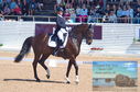 Filename=DSC_7214.JPG
Filesize=451KiB
Dimensions=1229x814
Date added=Jul 19, 2023 DSC_7214.JPG