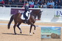 Filename=DSC_7215.JPG
Filesize=451KiB
Dimensions=1229x814
Date added=Jul 19, 2023 DSC_7215.JPG