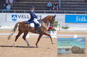 Filename=DSC_7222.JPG
Filesize=474KiB
Dimensions=1229x814
Date added=Jul 19, 2023 DSC_7222.JPG