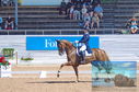Filename=DSC_7224.JPG
Filesize=437KiB
Dimensions=1229x814
Date added=Jul 19, 2023 DSC_7224.JPG