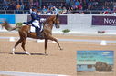 Filename=DSC_7227.JPG
Filesize=483KiB
Dimensions=1229x814
Date added=Jul 19, 2023 DSC_7227.JPG