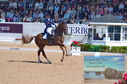 Filename=DSC_7229.JPG
Filesize=525KiB
Dimensions=1229x814
Date added=Jul 19, 2023 DSC_7229.JPG