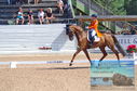 Filename=DSC_7240.JPG
Filesize=507KiB
Dimensions=1229x814
Date added=Jul 19, 2023 DSC_7240.JPG