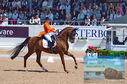 Filename=DSC_7249.JPG
Filesize=503KiB
Dimensions=1229x814
Date added=Jul 19, 2023 DSC_7249.JPG
