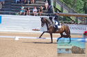 Filename=DSC_7260.JPG
Filesize=500KiB
Dimensions=1229x814
Date added=Jul 19, 2023 DSC_7260.JPG