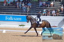 Filename=DSC_7261.JPG
Filesize=472KiB
Dimensions=1229x814
Date added=Jul 19, 2023 DSC_7261.JPG