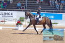 Filename=DSC_7262.JPG
Filesize=479KiB
Dimensions=1229x814
Date added=Jul 19, 2023 DSC_7262.JPG