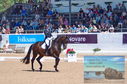 Filename=DSC_7271.JPG
Filesize=488KiB
Dimensions=1229x814
Date added=Jul 19, 2023 DSC_7271.JPG