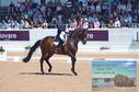 Filename=DSC_7273.JPG
Filesize=482KiB
Dimensions=1229x814
Date added=Jul 19, 2023 DSC_7273.JPG