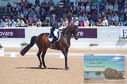 Filename=DSC_7274.JPG
Filesize=480KiB
Dimensions=1229x814
Date added=Jul 19, 2023 DSC_7274.JPG