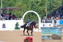 Filename=DSC_7286.JPG
Filesize=522KiB
Dimensions=1229x814
Date added=Jul 19, 2023 DSC_7286.JPG