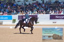 Filename=DSC_7288.JPG
Filesize=487KiB
Dimensions=1229x814
Date added=Jul 19, 2023 DSC_7288.JPG