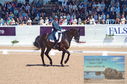 Filename=DSC_7290.JPG
Filesize=475KiB
Dimensions=1229x814
Date added=Jul 19, 2023 DSC_7290.JPG