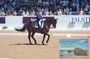 Filename=DSC_7291.JPG
Filesize=480KiB
Dimensions=1229x814
Date added=Jul 19, 2023 DSC_7291.JPG