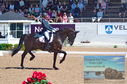 Filename=DSC_7292.JPG
Filesize=485KiB
Dimensions=1229x814
Date added=Jul 19, 2023 DSC_7292.JPG