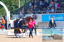 Filename=DSC_7838.JPG
Filesize=497KiB
Dimensions=1229x814
Date added=Jul 20, 2023 DSC_7838.JPG