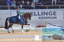 Filename=DSC_7860.JPG
Filesize=398KiB
Dimensions=1229x814
Date added=Jul 20, 2023 DSC_7860.JPG