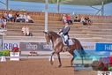Filename=PT9_4818.JPG
Filesize=488KiB
Dimensions=1224x817
Date added=Jul 12, 2023 PT9_4818.JPG