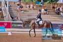 Filename=PT9_4837.JPG
Filesize=523KiB
Dimensions=1224x817
Date added=Jul 12, 2023 PT9_4837.JPG
