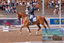 Filename=PT9_4847.JPG
Filesize=537KiB
Dimensions=1224x817
Date added=Jul 12, 2023 PT9_4847.JPG